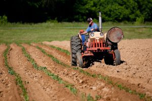 pure farming 2018 recenzja